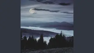 Nature's Cradle