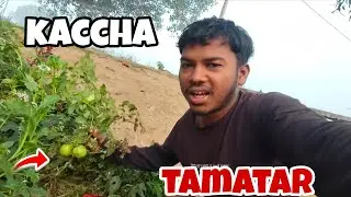  KACCHA TAMATAR KSISA HOTA😲 HAI KHANE ME DAY 187 ! 