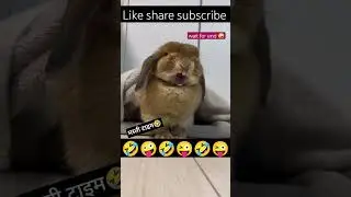 मस्ती टाइम🤣#shorts#viral#trending#funny#comedy#masti#youtubeshorts#trendingshorts#short#siteshgaur