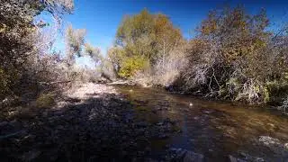 Mesa Trailhead in October