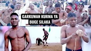 February 1, 2026 Garkuwan kurma ya buge silaka Dogo baran dage da Dogon fijo  tayi bagida ba daji
