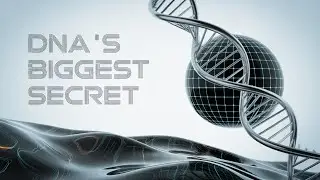 DNA Has 3 BILLION Letters of CODE &mdash; Who Wrote It?