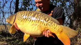 *** Carp Fishing  *** 🎥 Carpheadbangers At Moorlands Fishery