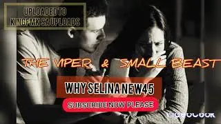 THE VIPER & SMALL BEAST - WHY SELINA NEW45