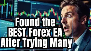 Best Forex Robots EXPOSED After 3 Months of Testing