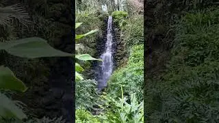 Rainbow Springs State Park- Dunnellon, Florida