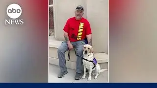 Tommy the service dog saves veteran's life