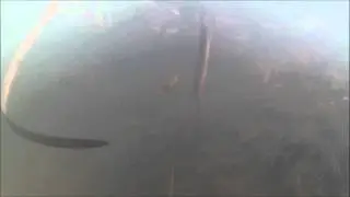 A Minute with a Minute Fish