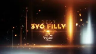 Best 3-Year-Old Filly