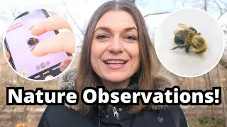 OBSERVE Like a Scientist: Tips & Tools | Wildlife Biology for Kids Club