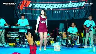 PRINGGODANI MUSIC - MANGKU PUREL - RIRIN MUNGIL - WEDDING SIMON & SITTA RONGGO JAKEN PATI