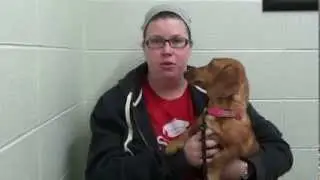 Kim N. Reviews Integrative Veterinary Services of Missouri (IVSMO)