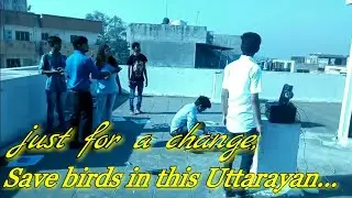 just for a change,save birds in this Uttarayan...