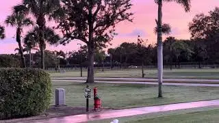 12/2/25 Egyptian Geese Control with green laser
