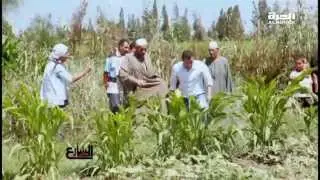 مياه الصرف الصحي تأكل المحاصيل و تقتل الفلاحين