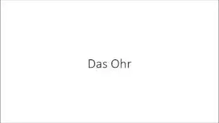 German Vocab Flashcards: Body Parts