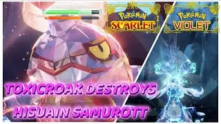 BEST Solo Build to DESTROY Hisuian Samurott | Pokemon Scarlet & Violet