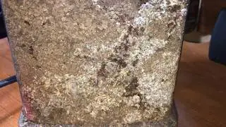 Atta Experiment 2