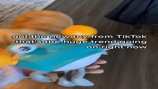 🦁 