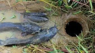 Amazing Fish Trap - Catch Fishes by Using Secret Deep Hole