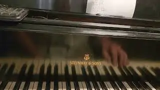 Video 4 of the 