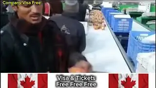 Free Visa|Free Ticket|Sardar Jagmohan Singh|Canada|Eden Food Company|WhatsApp +17822226113
