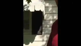 Fuck you tree!!!