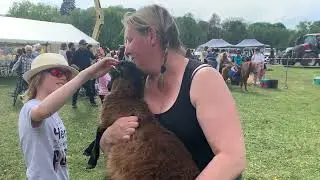 Démonstration de Chiens de Troupeau - La Ferté sous Jouarre - Mai 2022