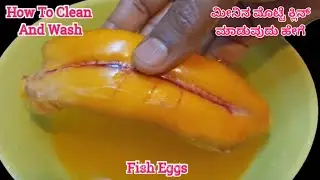ಮೀನಿನ ಮೊಟ್ಟೆ ಕ್ಲೀನ್ ಮಾಡುವುದು ಹೇಗೆ / How to clean fish eggs / Cleaning fish eggs