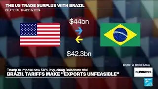 New Trump tariffs put Brazil in crosshairs ahead of August 1 deadline &bull; FRANCE 24 English