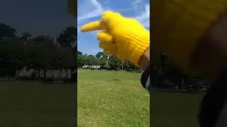 freefly burung parkit jinak