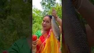 রুই টমেটো | Rui Tomato Curry Recipe #shorts #fish #fishing #fishcutting #fishcurry #fishrecipe
