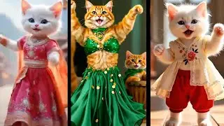 Cat Videos Funny Dance 🤣💃 | Heart-touching Kitten Dance Cute 🐾 | Dancing For Cats