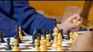 Schachturnier im Divan بطولة الشطرنج في الديوان