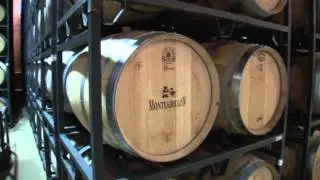 MONTEABELLON