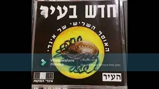 18. סתם תוכי - Ordinary Day