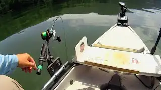 I Was Fishing In The RIGHT Place At The WRONG Time