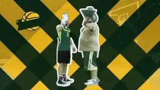 Baylor Bear Pit Heroes