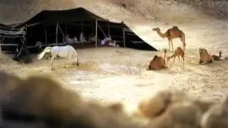 الفرقى   نواف منيـــــــــف   YouTube