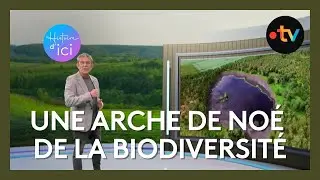 Histoire d'Ici: le Ciron