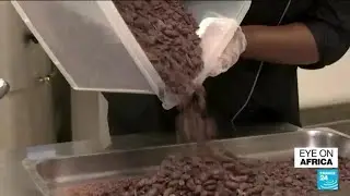 Ivory Coast entrepreneurs pour love and patriotism into fine chocolate &bull; FRANCE 24 English