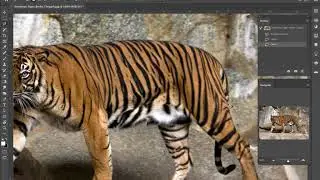 GD1/Photoshop: Part 3/Selection Tools