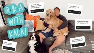 Q&A w/ KALA! ❤️