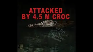 INTERVIEW WITH CROCODILE ATTACK SURVIVOR
