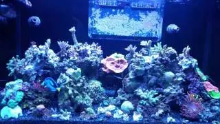 Aptaisa battle over?