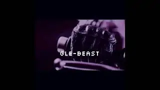 Shake it to the Max Rmix [GLE BEAST]