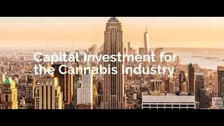 Cannabis NEWS Minute: iAnthus Capital Invests $4.4m in Colorado