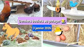 Janvier au potager, fumier 🐎 et tailles des fruitiers🌳, allez-y ⏰