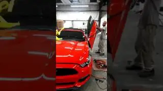 2017 Ford Mustang Vertical Door Lambo Kit
