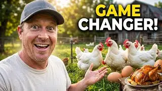 How Chickens Changed Our Homestead | Self-Sufficient Series